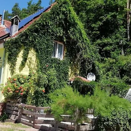 Violeta Villa Dambach Exterior foto