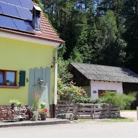 Violeta Villa Dambach Exterior foto