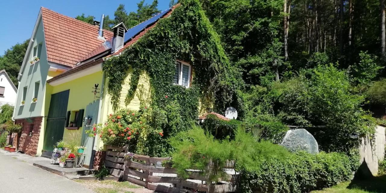 Violeta Villa Dambach Exterior foto